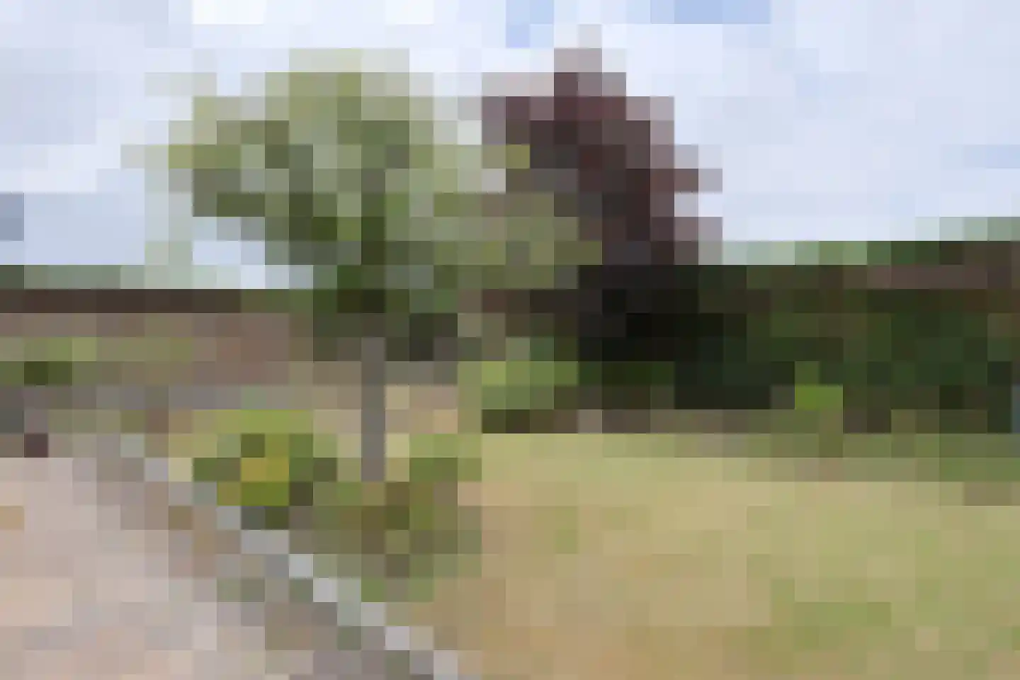 Tuindersweg 30 Maasdijk thumbnail 12