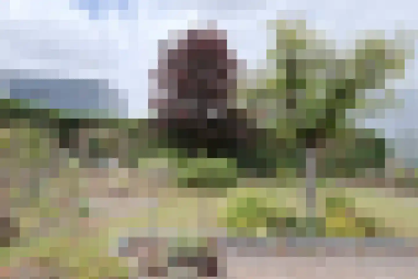 Tuindersweg 30 Maasdijk thumbnail 13