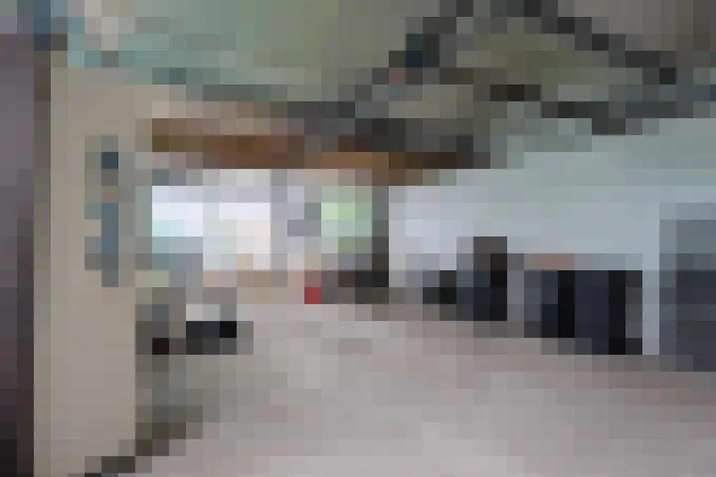 Tuindersweg 30 Maasdijk thumbnail 14