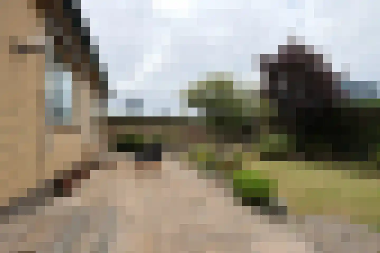 Tuindersweg 30 Maasdijk thumbnail 9
