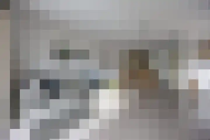 Tuindersweg 40 Etten-Leur thumbnail 12