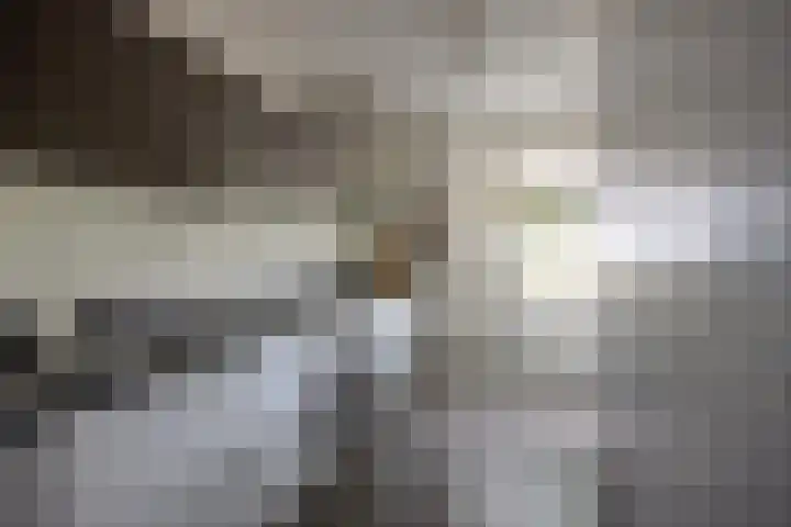 Tuindersweg 40 Etten-Leur thumbnail 15