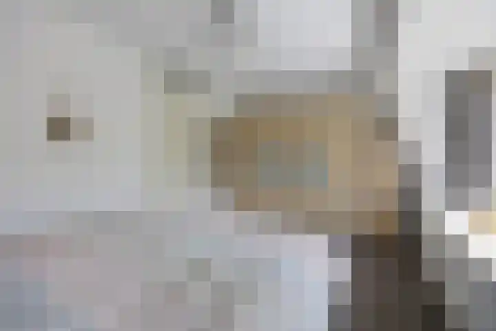 Tuindersweg 40 Etten-Leur thumbnail 22