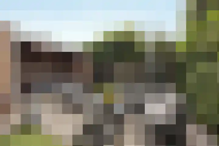 Tuindersweg 40 Etten-Leur thumbnail 36