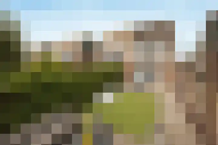 Tuindersweg 40 Etten-Leur thumbnail 38