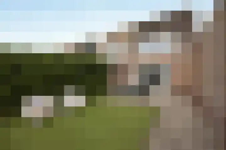 Tuindersweg 40 Etten-Leur thumbnail 39