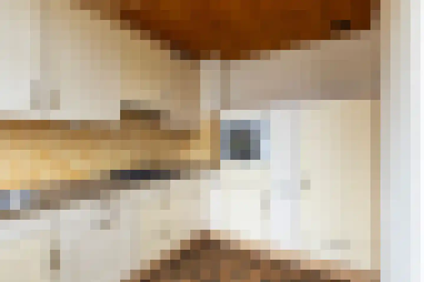 Tuindersweg 83 Maasdijk thumbnail 14