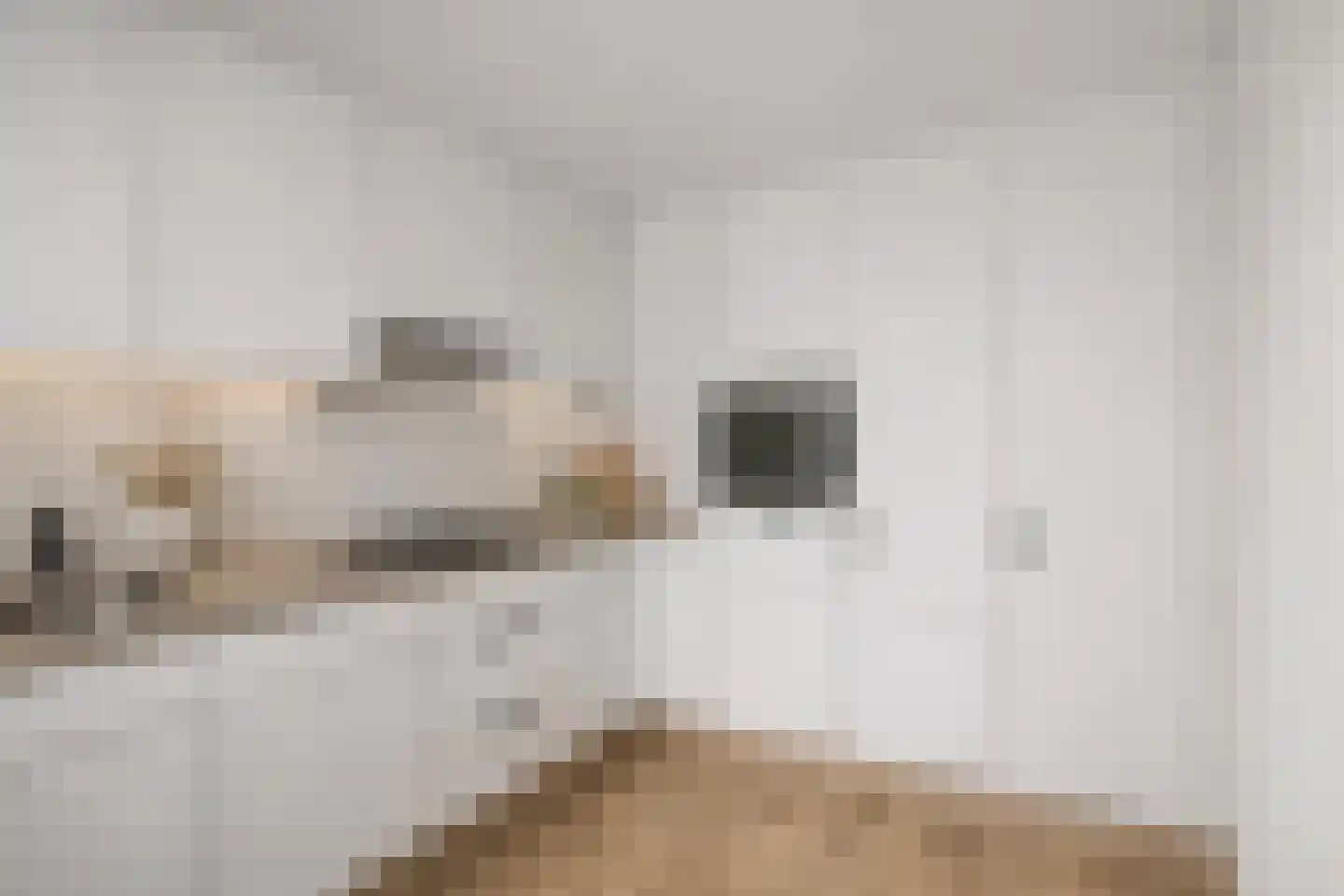 Tuindersweg 83 Maasdijk thumbnail 15