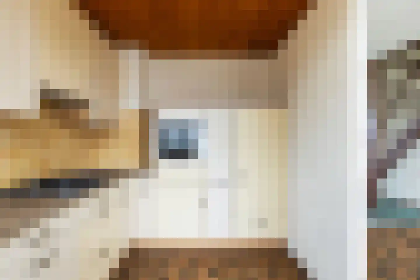 Tuindersweg 83 Maasdijk thumbnail 16
