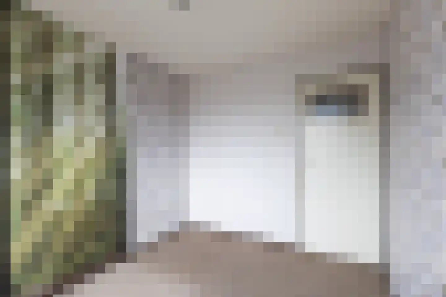 Tuindersweg 83 Maasdijk thumbnail 31