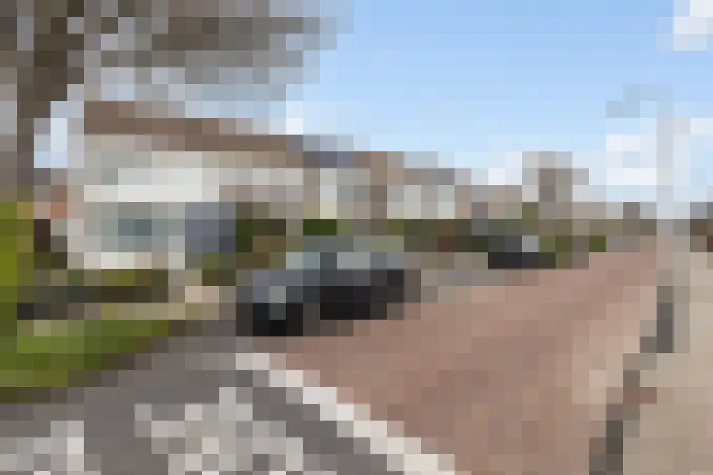 Tuindersweg 83 Maasdijk thumbnail 5