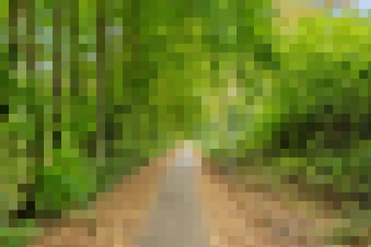 Tuinderswerf 15 Almere thumbnail 38