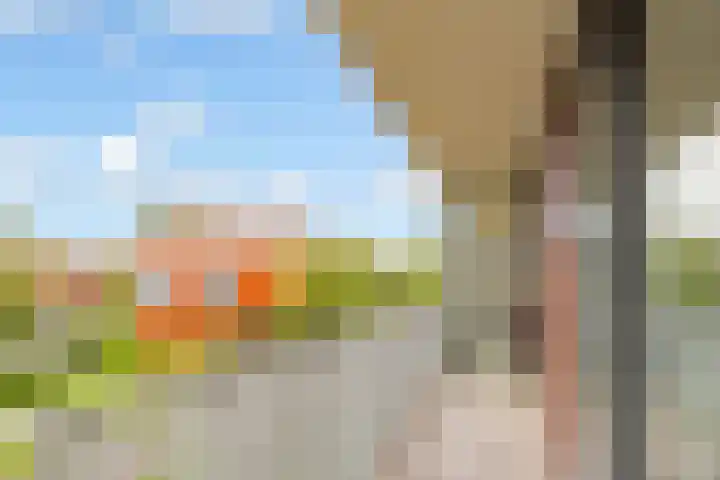 Tuinderswerf 16 Almere thumbnail 23