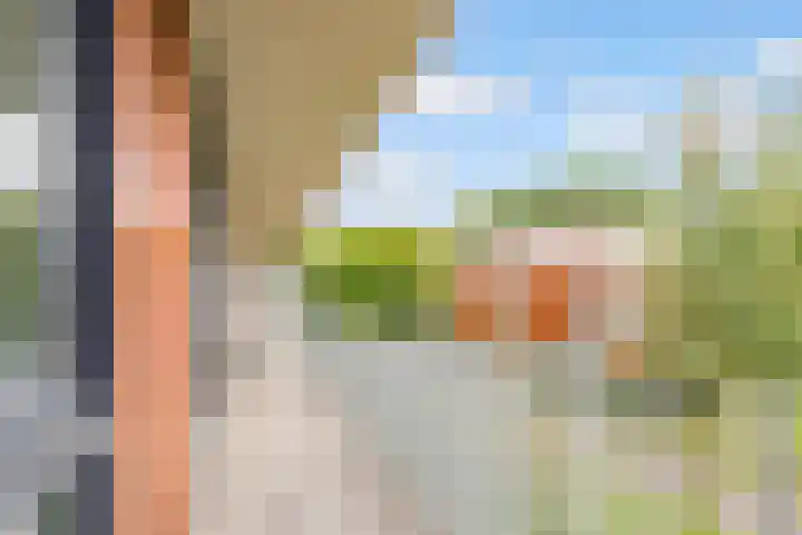 Tuinderswerf 16 Almere thumbnail 24