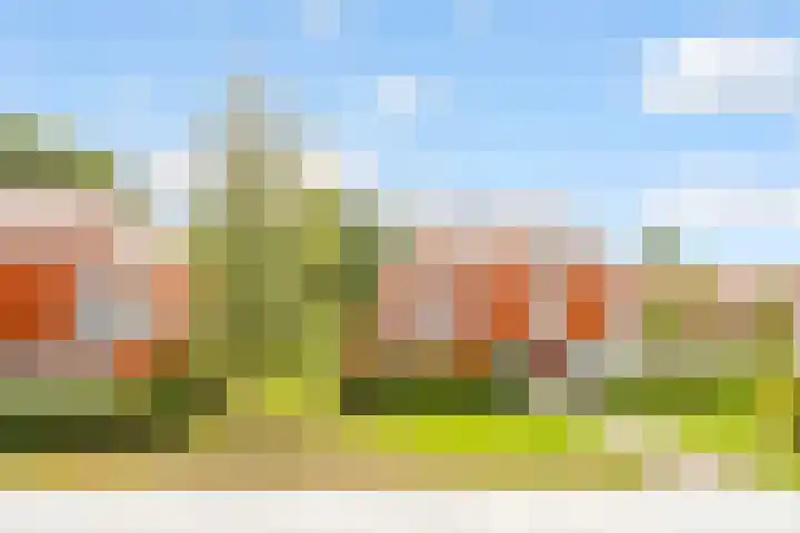Tuinderswerf 16 Almere thumbnail 25