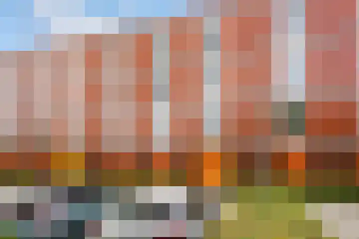 Tuinderswerf 16 Almere thumbnail 29