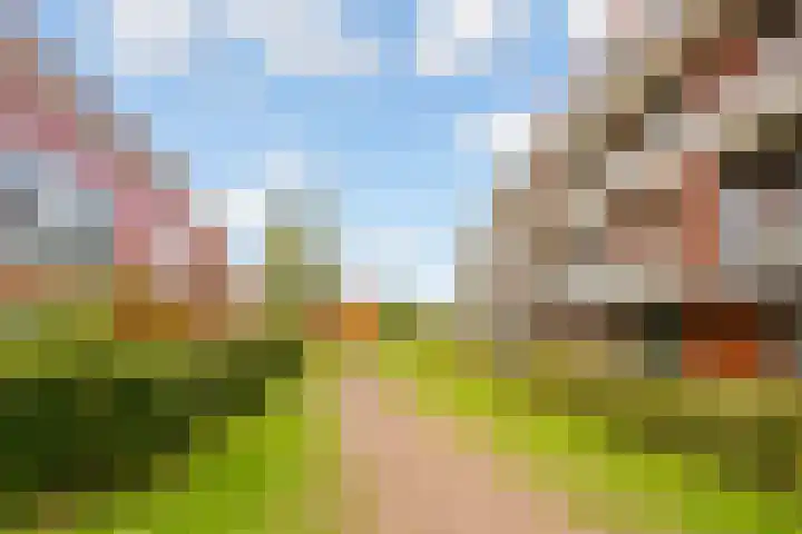 Tuinderswerf 16 Almere thumbnail 30