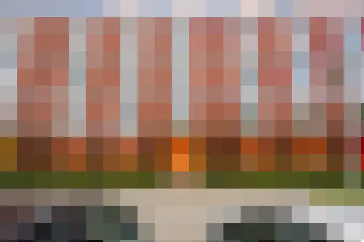 Tuinderswerf 16 Almere thumbnail 33