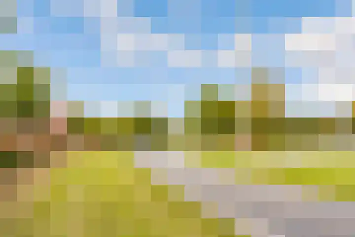 Tuinderswerf 16 Almere thumbnail 34