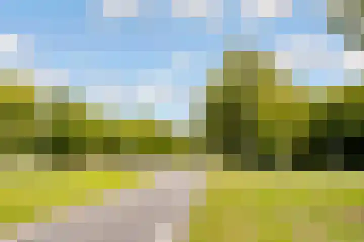 Tuinderswerf 16 Almere thumbnail 35