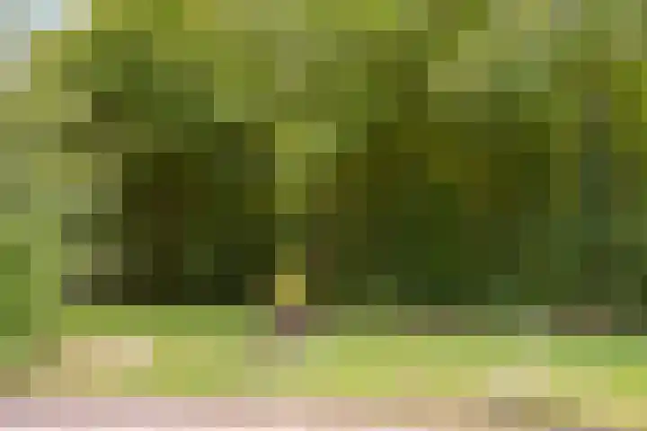 Tuinderswerf 16 Almere thumbnail 36
