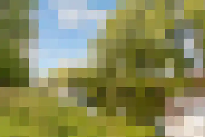 Tuinderswerf 16 Almere thumbnail 37