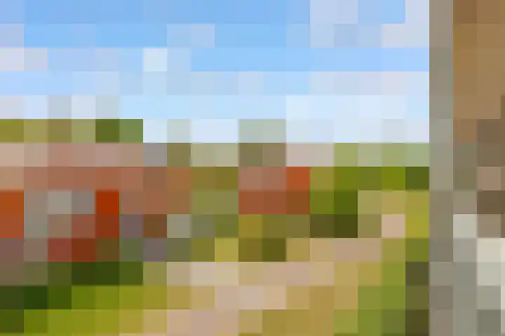 Tuinderswerf 18 Almere thumbnail 23