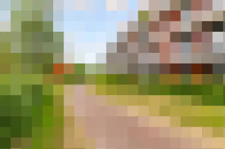 Tuinderswerf 18 Almere thumbnail 26
