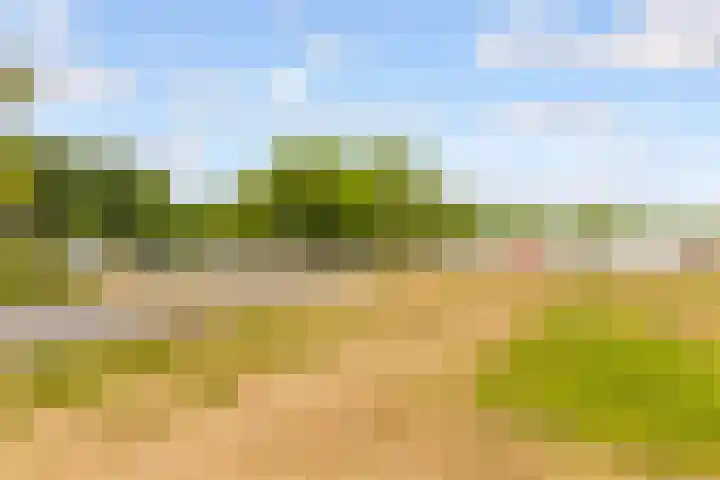 Tuinderswerf 18 Almere thumbnail 27