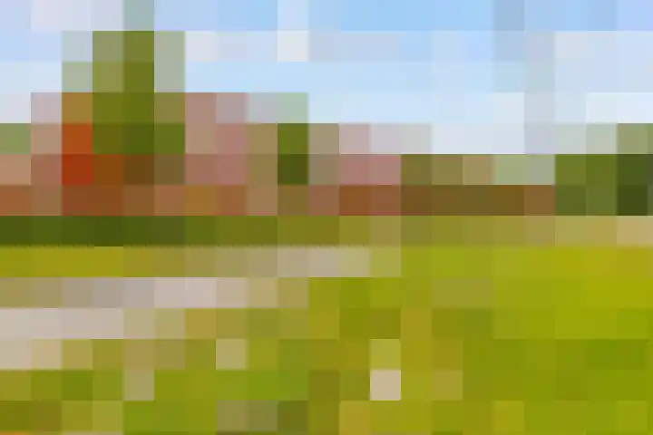 Tuinderswerf 18 Almere thumbnail 29