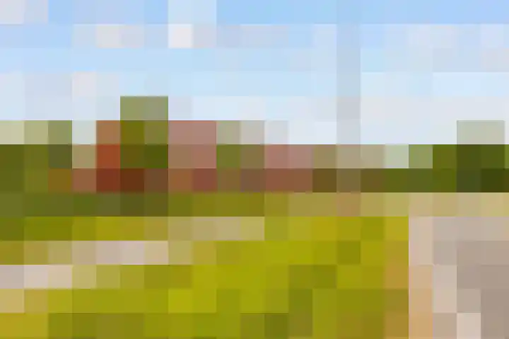 Tuinderswerf 18 Almere thumbnail 30