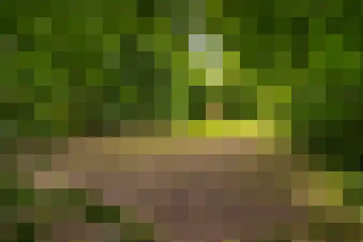 Tuinderswerf 18 Almere thumbnail 32