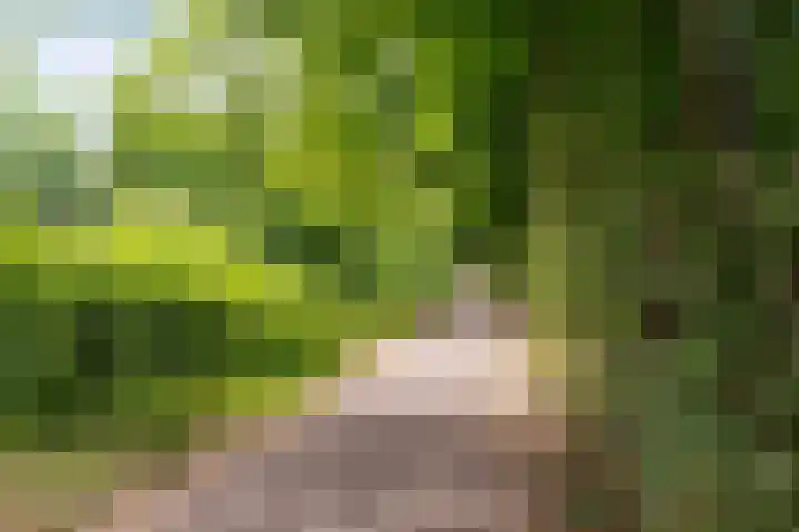 Tuinderswerf 18 Almere thumbnail 33