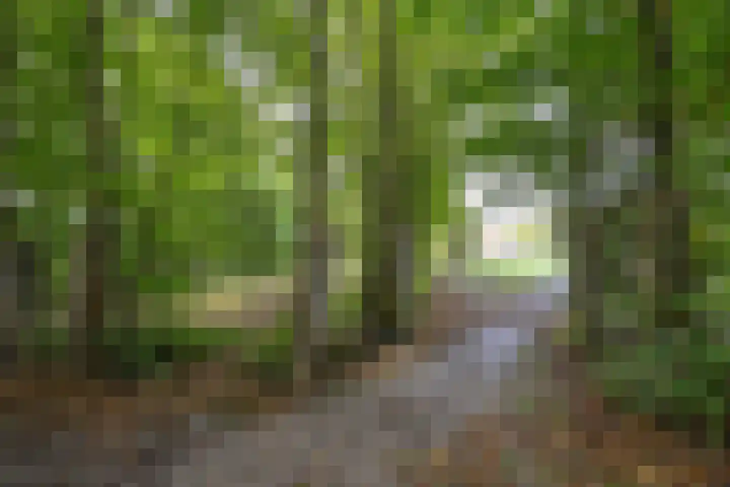 Tuinderswerf 5 Almere thumbnail 27