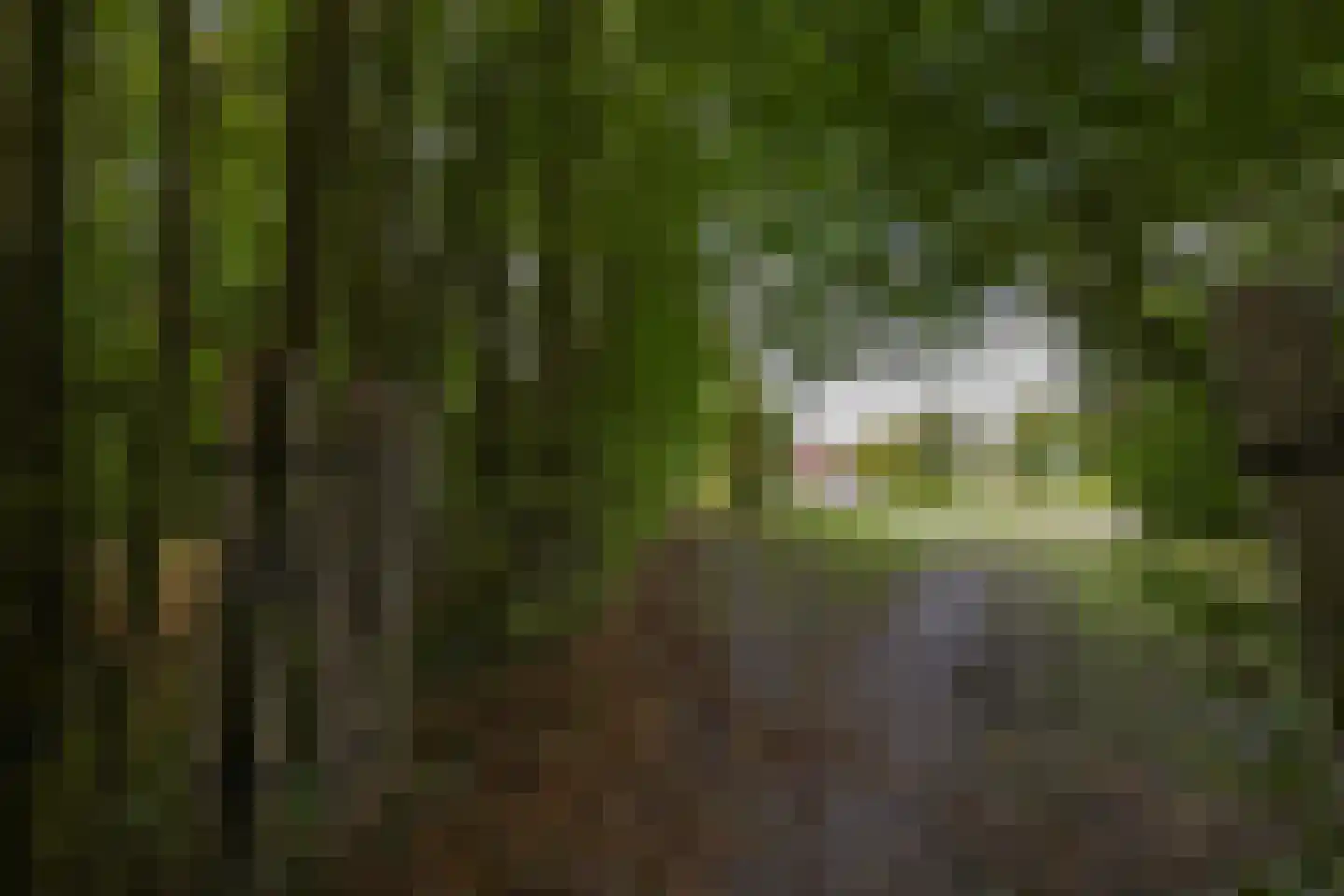 Tuinderswerf 5 Almere thumbnail 28