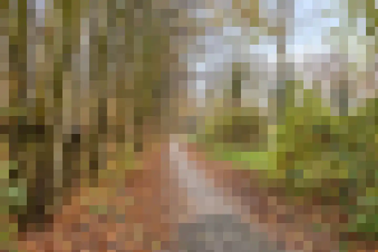 Tuinderswerf 56 Almere thumbnail 21