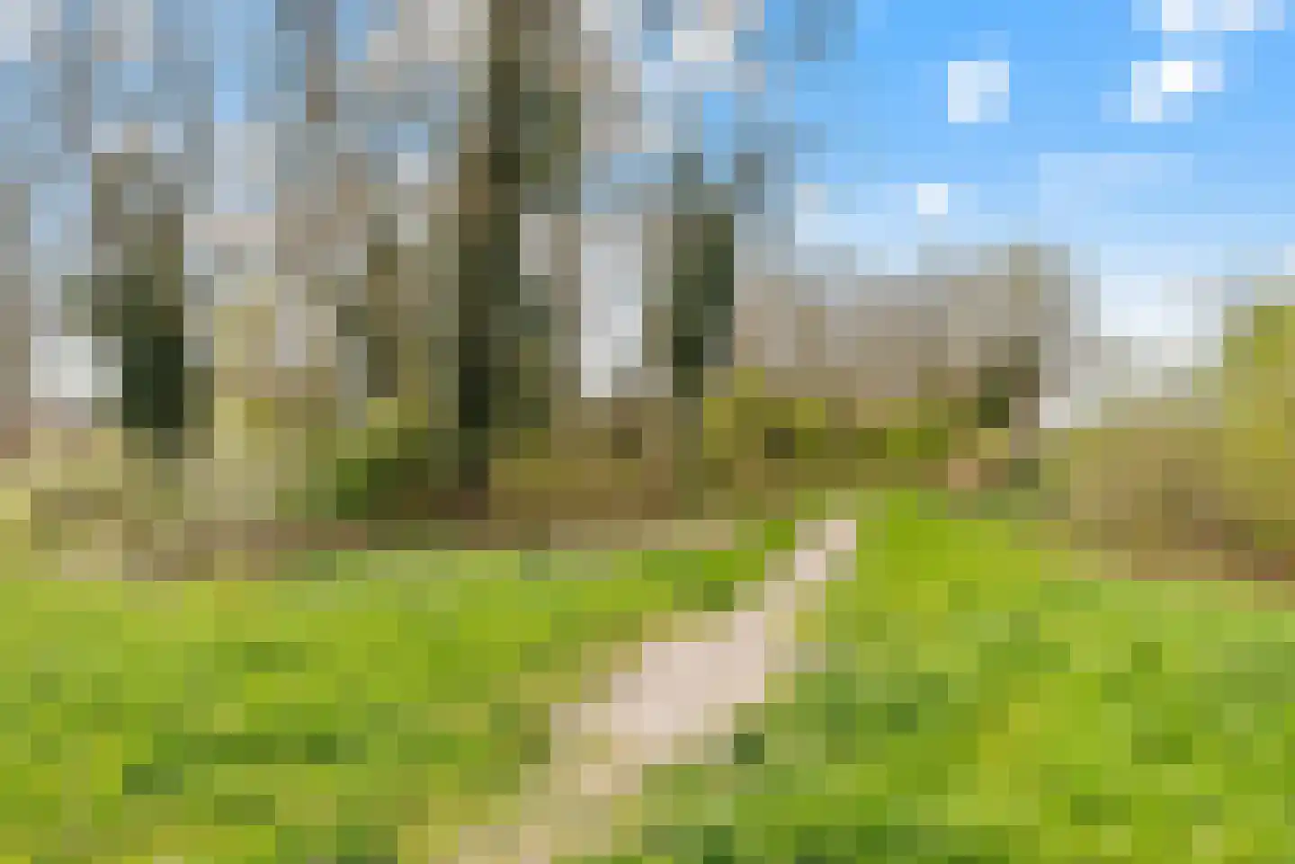 Tuinderswerf 59 Almere thumbnail 35