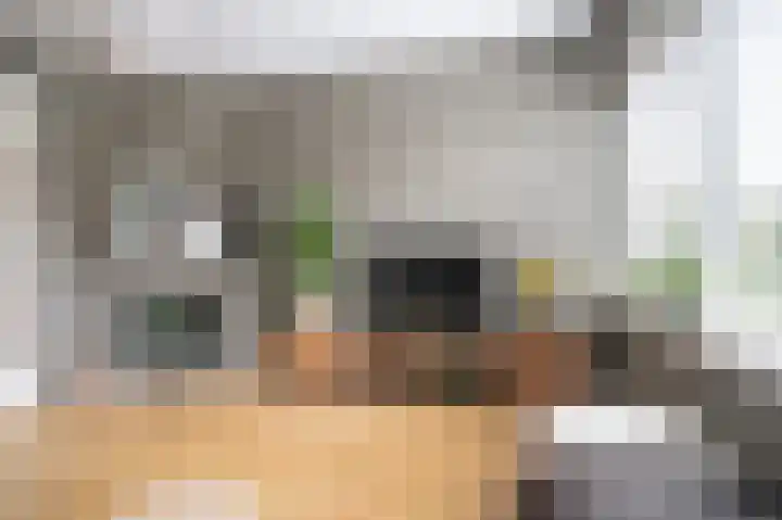 Tuindorp 13 Geldermalsen thumbnail 10