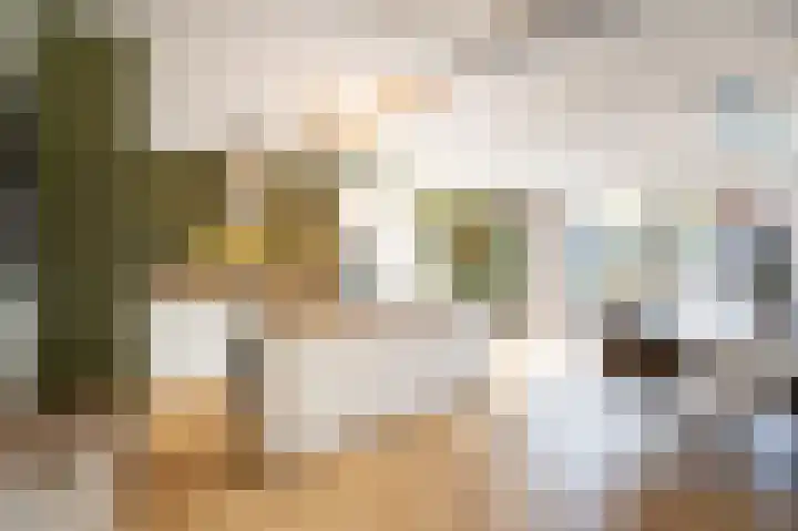 Tuindorp 13 Geldermalsen thumbnail 13