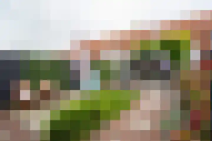 Tuindorp 13 Geldermalsen thumbnail 4