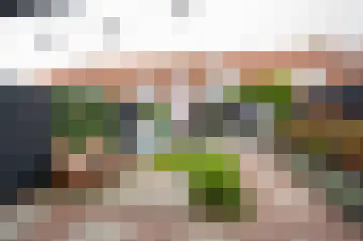 Tuindorp 13 Geldermalsen thumbnail 47