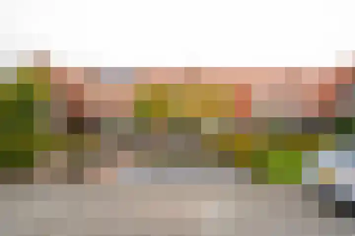 Tuindorp 13 Geldermalsen thumbnail 5