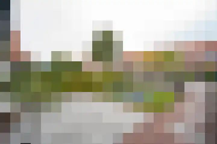 Tuindorp 13 Geldermalsen thumbnail 51