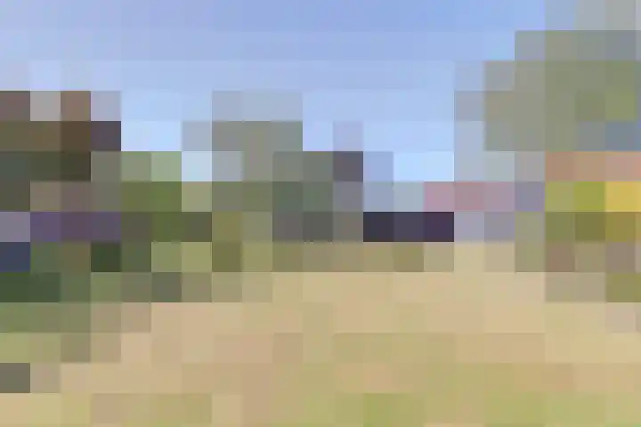 Tuindorp 14 Wissenkerke thumbnail 24