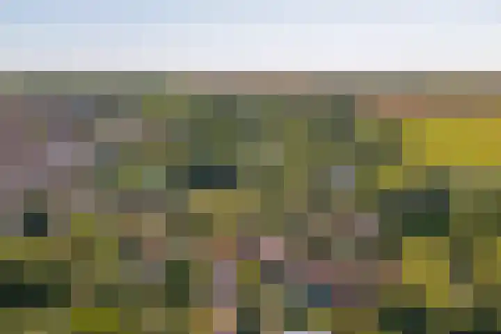Tuindorp 14 Wissenkerke thumbnail 27