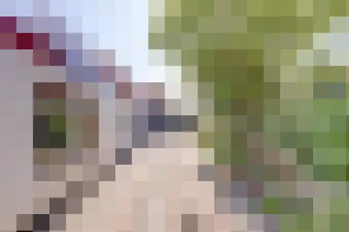 Tuindorp 14 Wissenkerke thumbnail 28