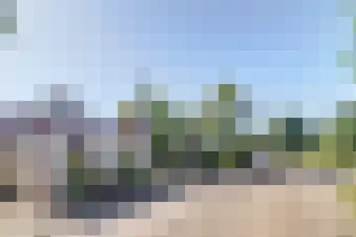 Tuindorp 14 Wissenkerke thumbnail 29