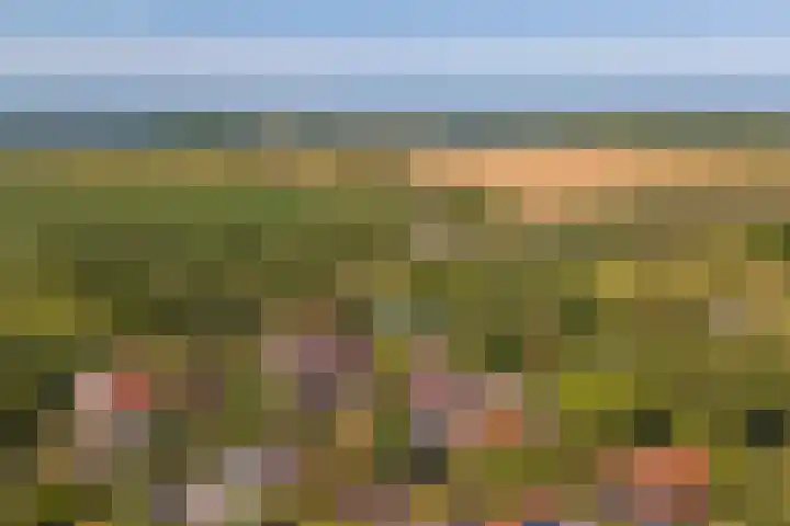 Tuindorp 14 Wissenkerke thumbnail 4