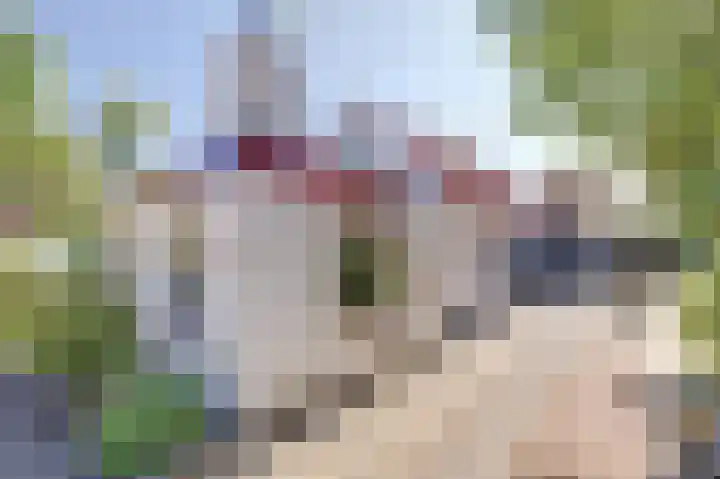 Tuindorp 14 Wissenkerke thumbnail 40