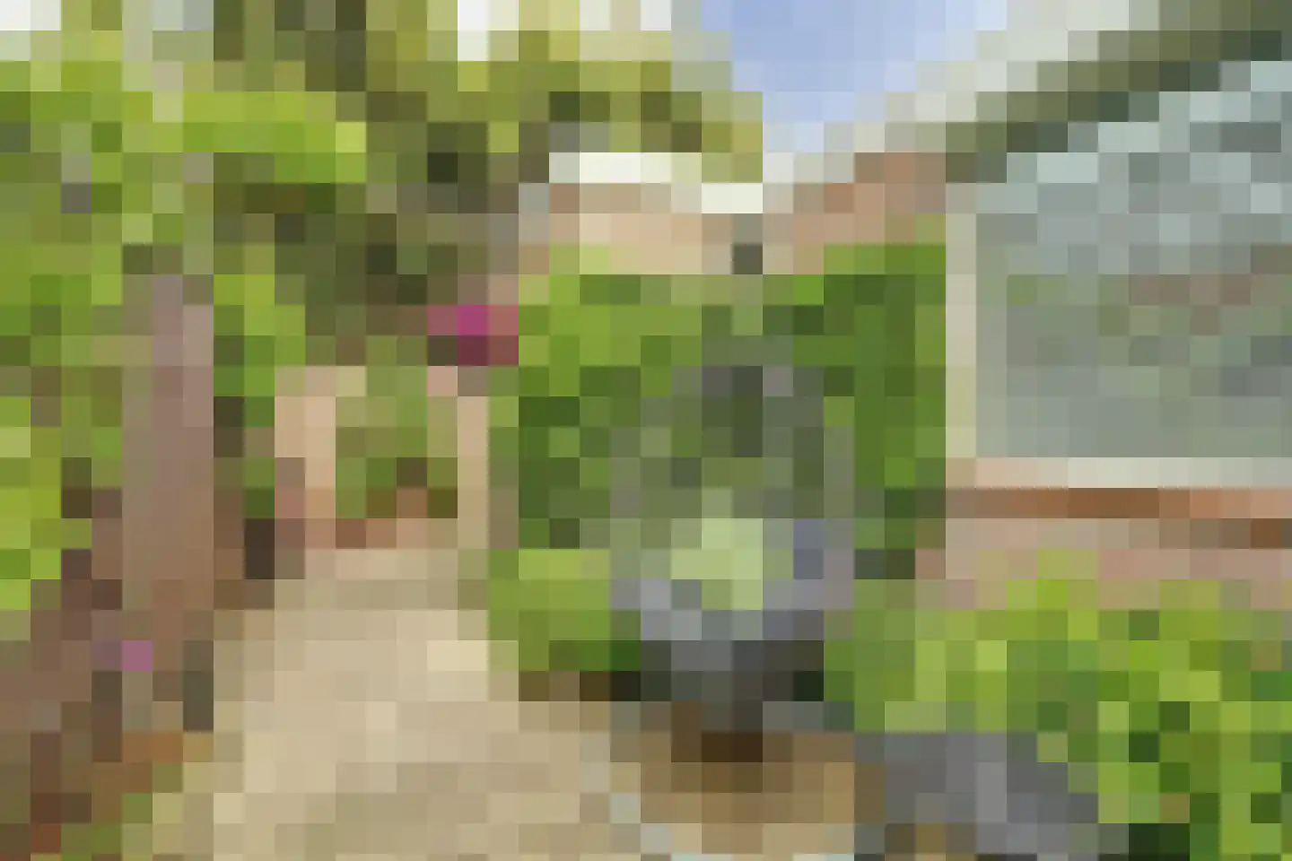 Tuindorp 48 Arnemuiden thumbnail 29